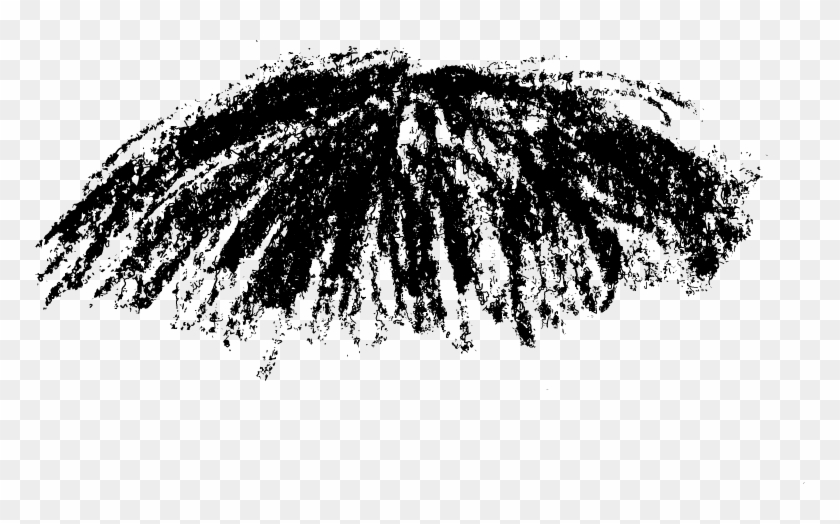 10 Feb 2011 - White Pine Clipart