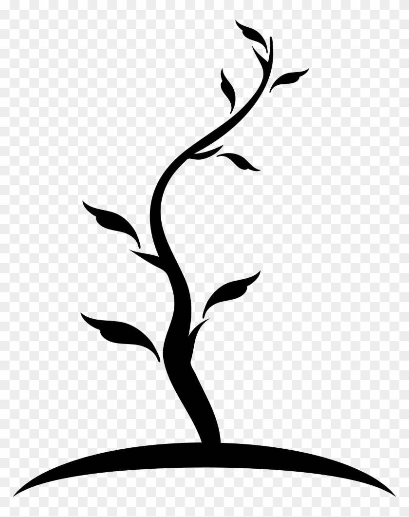 Tree Thin Shape Of Young Trunk With Few Leaves Comments - Young Tree Icon Clipart #1728718