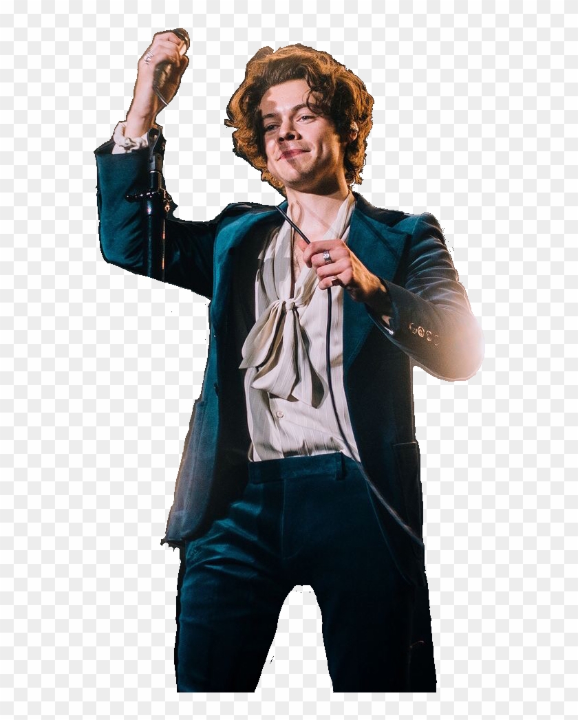 Harry Styles La Night 1 Clipart