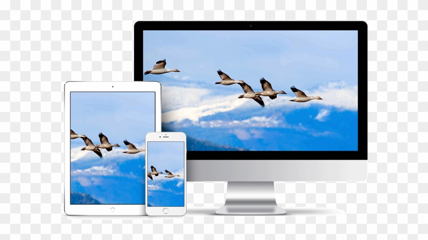 Apple-devices1 - Led-backlit Lcd Display Clipart