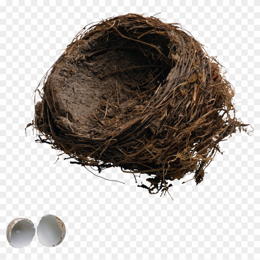 Transparent Background Nest Png Clipart #1731251