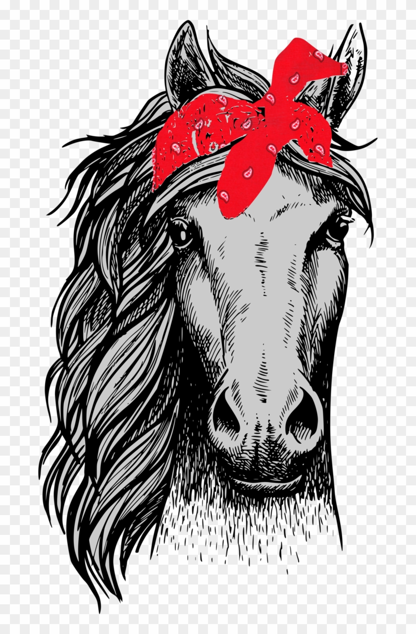 Horse Head Front View Clipart