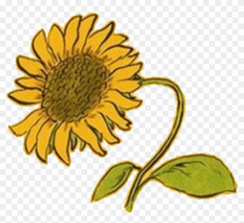 Aesthetic Clipart Random - Png Aesthetic Yellow Flower Transparent Png #1733051
