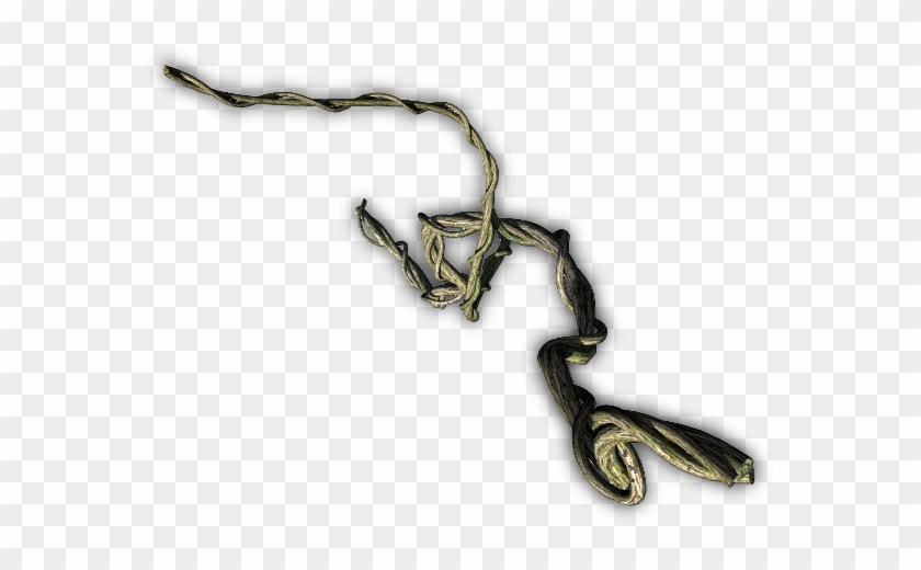 141k Junglevine F - Chain Clipart