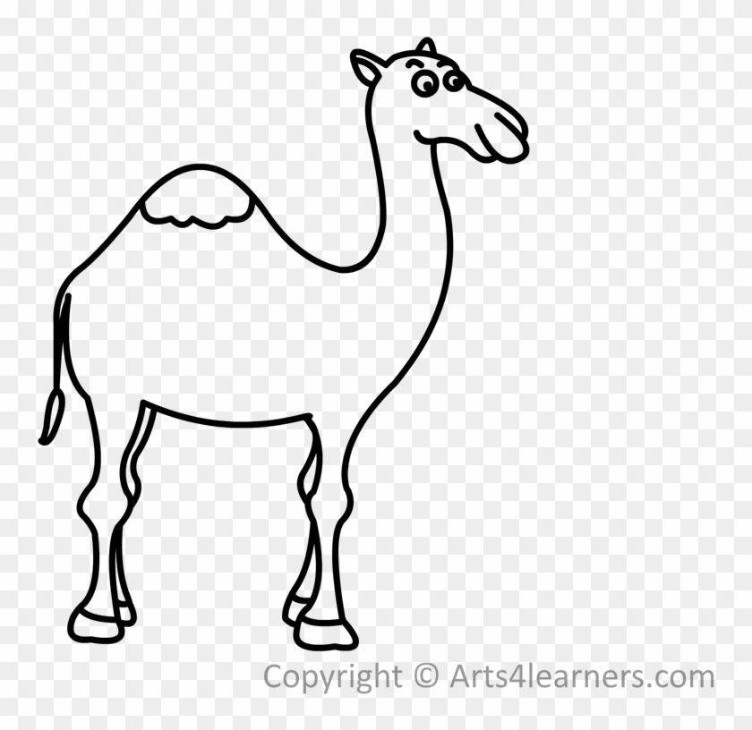 1024 X 768 21 - Drawing Of Camel Easy With Man Clipart #1734675