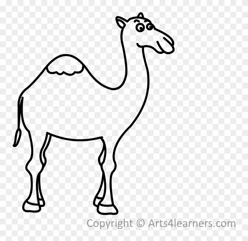 1024 X 768 21 - Drawing Of Camel Easy With Man Clipart