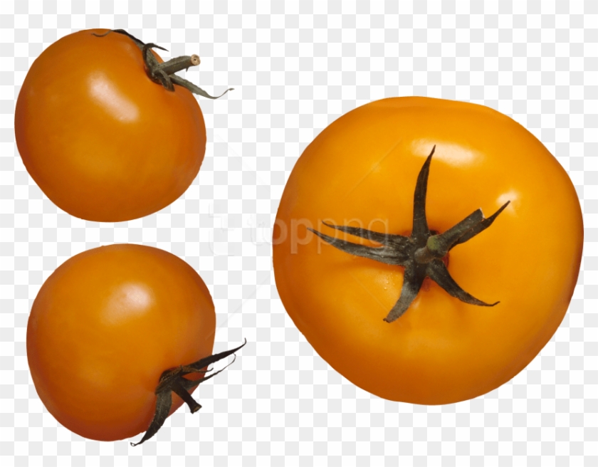 Free Png Download Red Tomatoes Png Images Background - Жёлтый Помидор Png Clipart #1734901