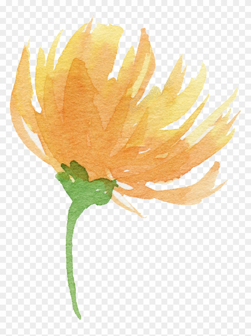 Clip Library For Yellow Watercolor Flowers Free Download - Yellow Watercolour Flowers Png Transparent Png #1735079