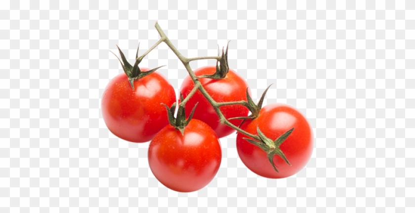 Tomatoes - Plum Tomato Clipart #1735125