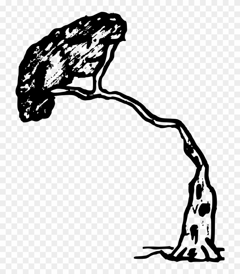 How To Set Use Pine Icon Png Clipart