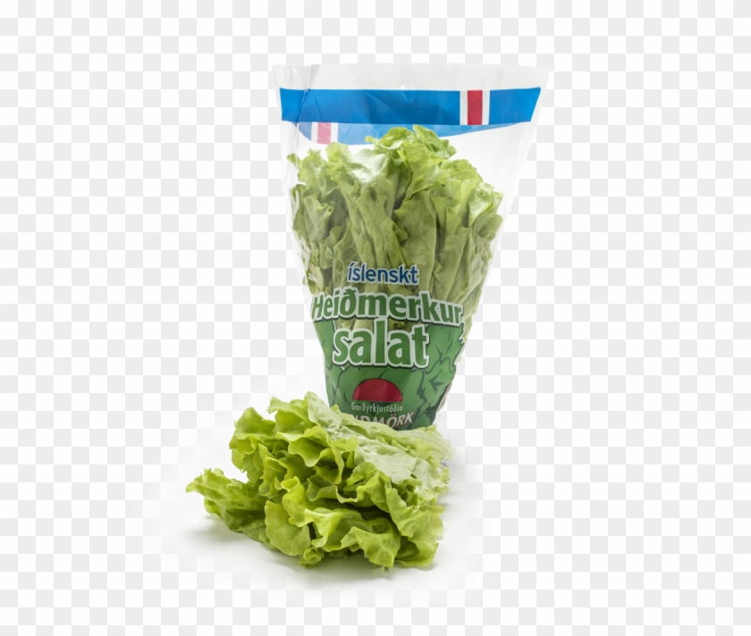Heiðmerkur Lettuce Clipart