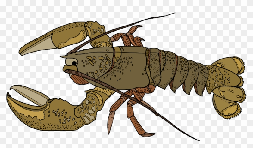 Portable Network Graphics , Png Download Clipart #1736672