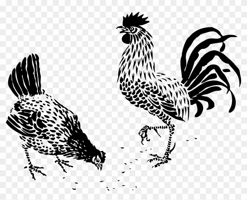 Hen And Rooster Black White Line Art 999px 137 - Chicken Drawings Clipart #1737141