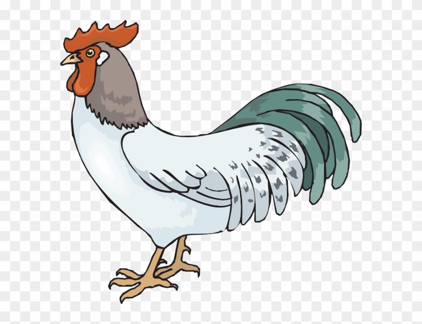 74 Koleksi Gambar Binatang Ayam Kartun Terbaik