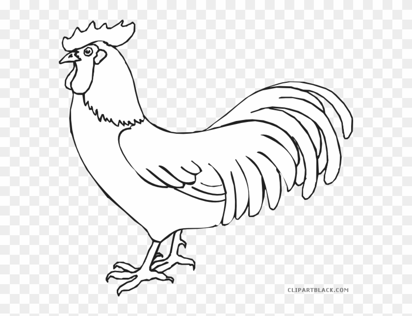 Rooster Clipart Rooster Outline - Rooster Black And White - Png Download #1737341