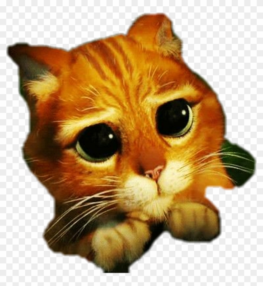 #freetoedit #cat #cute #dreamworksanimation #shrek Clipart