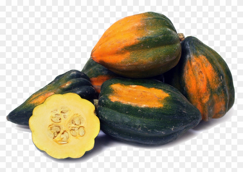 Acorn Squash Png Image - Acorn Squash Png Clipart #1740512