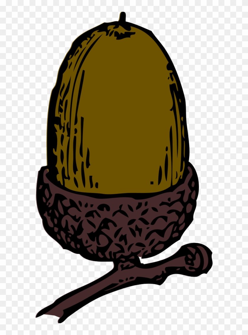 Acorn Clip Art - Nothing Like A Good Nut - Png Download #1740544
