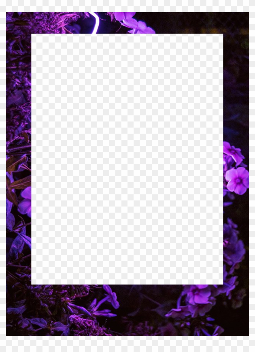 #stickers #png #tumblr #frame #flower #flowers #рамка - Rose Clipart