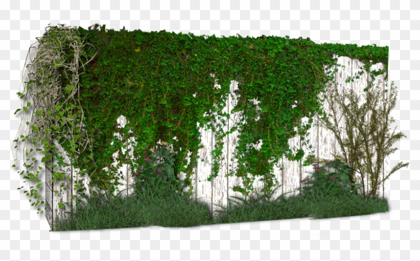 Photoshop Enredadera , Png Download Clipart