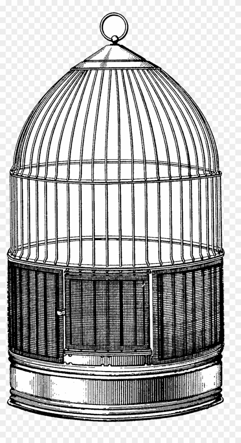 Steampunk Bird Cages - Vintage Bird Cage Drawing Clipart #1743420