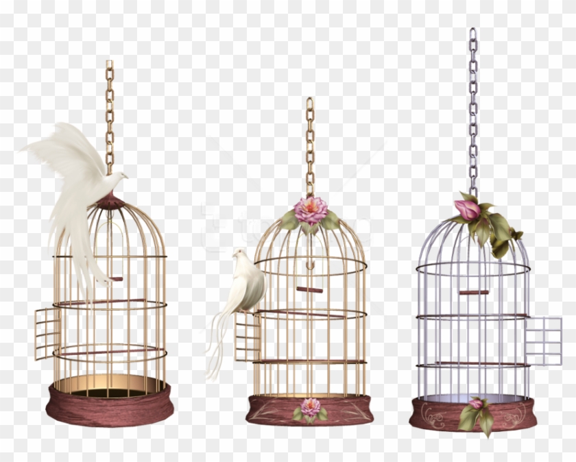 Free Png Download White Bird Cage Png Images Background - Birds Cage Png Clipart
