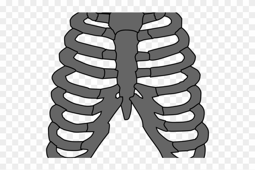 Rib Cage Png Transparent Images - Costillas Huesos Vector Clipart #1743501