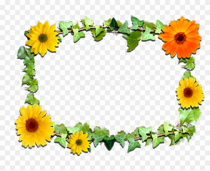 Free Png Flowers Frame Background Best Stock Photos - Flowers Clipart