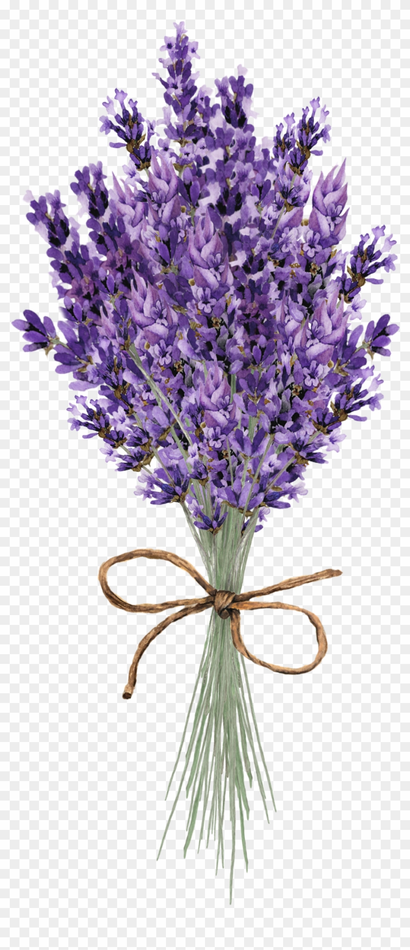 Pin By - Lavender Lilac Floral Wedding Table Seating Place Card Clipart