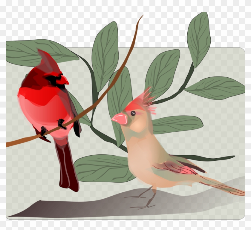 862 X 750 1 - Public Domain Images Cardinals Clipart