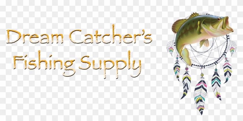 10 Reasons Dream Catcher's Is The Best Fishing Store - Cartoon Clipart