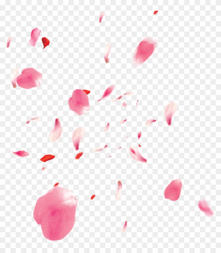 Freetoedit Ftestickers Flower Flowers 1200 X 1200 54 - Pink Rose Petals Png Clipart #1746286