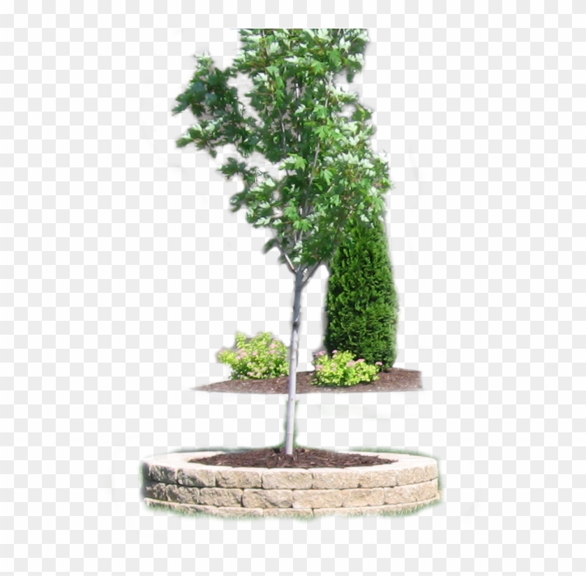 Priority Landscape Construction Omaha's Premier Landscape Clipart