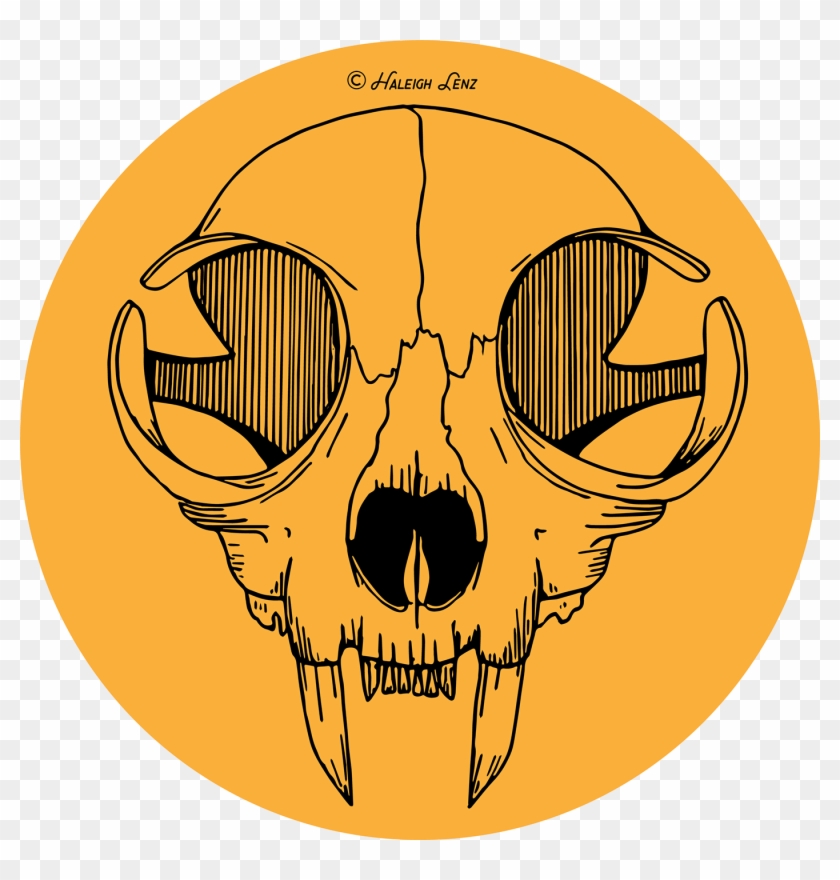 Picture Library Cat Skull Illustration On Behance - Cat Skull Vector Png Clipart #1747379