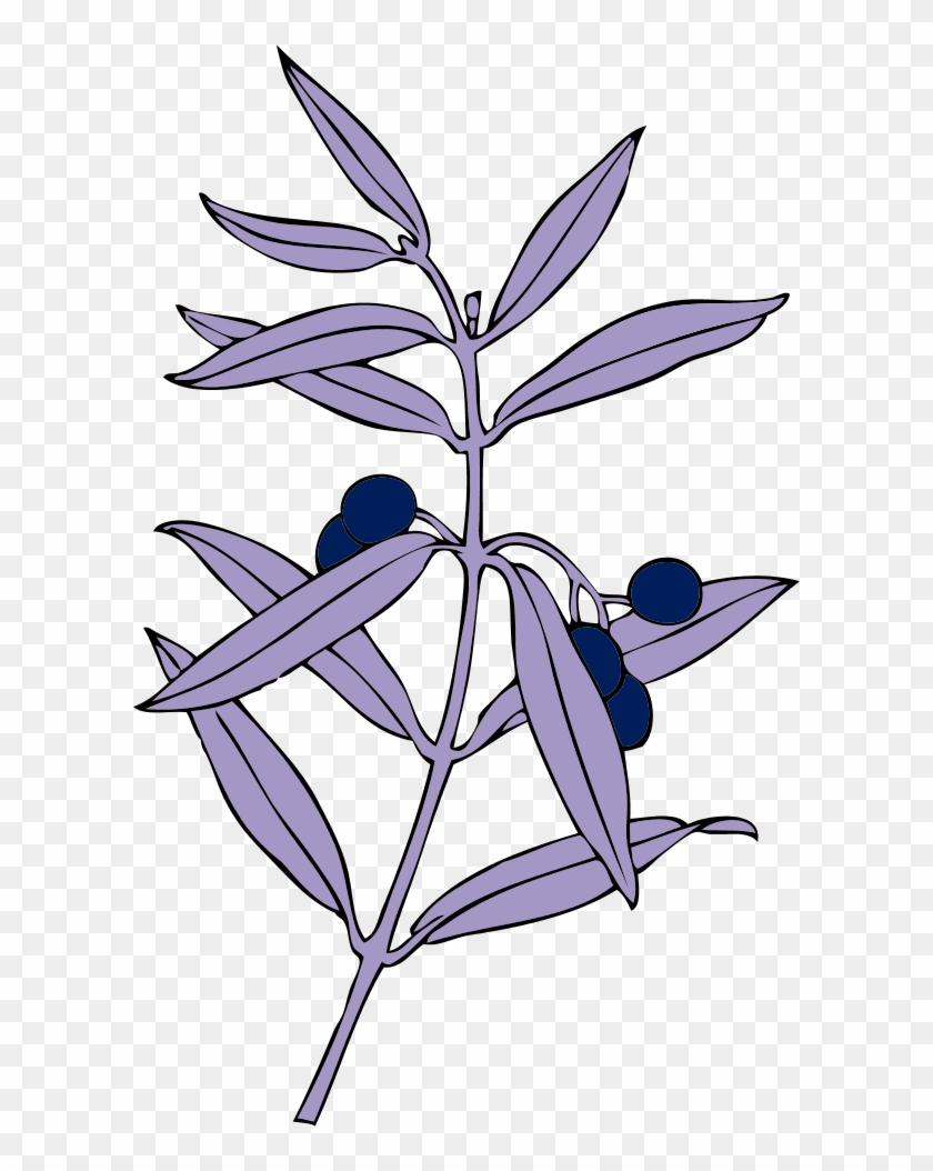 Vector Clip Art - Olive Branches Transparent - Png Download #1747489