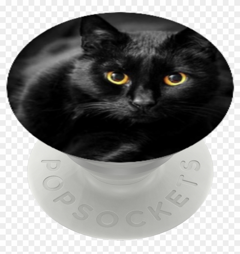 Spade♤ , Popsockets - Black Cat Clipart