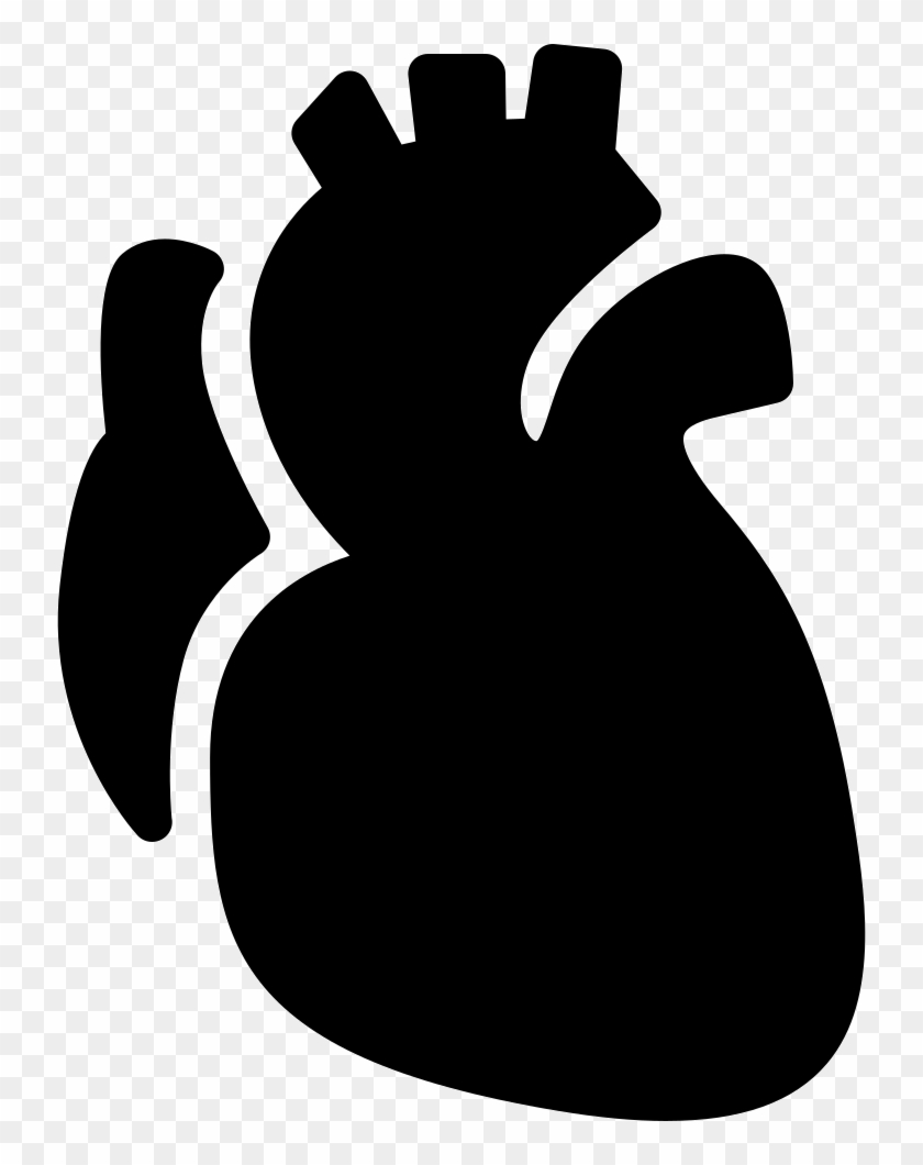 Png File Svg - Heart Anatomy Icon Png Clipart