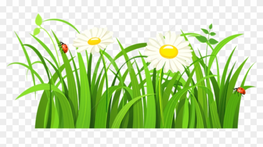 Free Png Download Grass With Daisies And Lady Bugs - Green Grass Vector Png Clipart #1748430