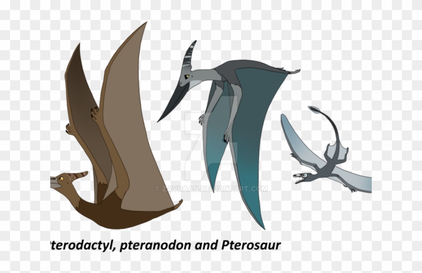 Pteranodon Clipart Pterodactyl - Pterodactyl Pteranodon - Png Download #1749187