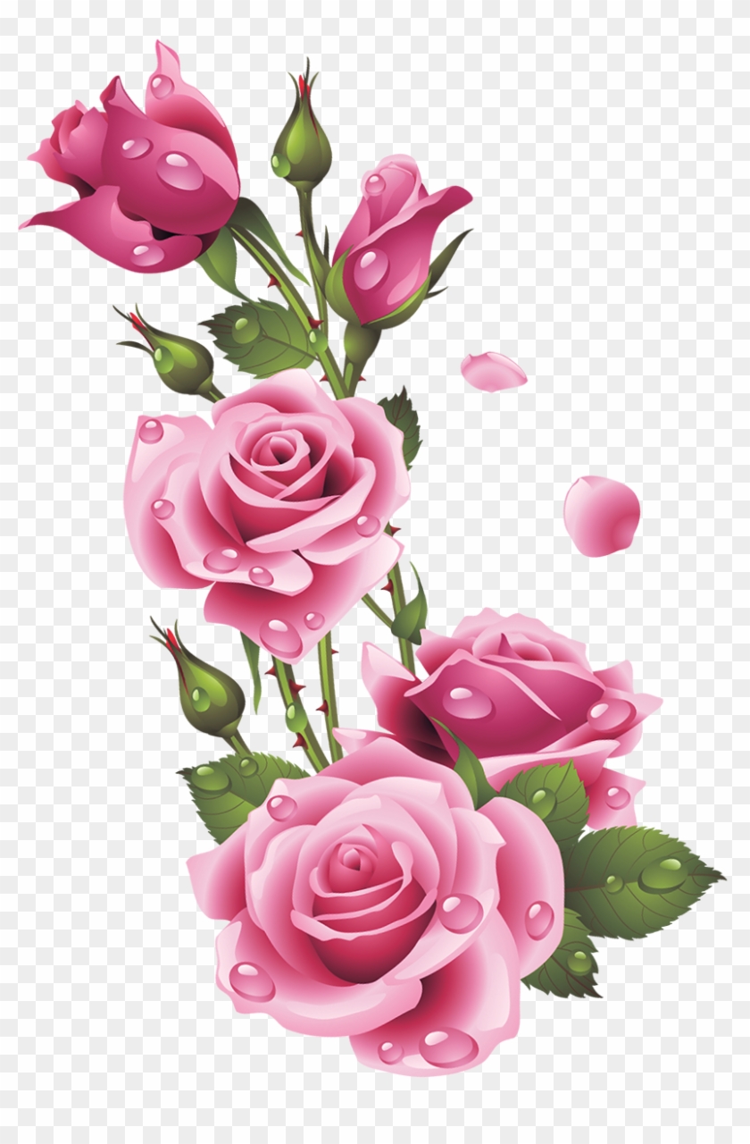 Ruže « Category - Flower Images Png Hd Clipart