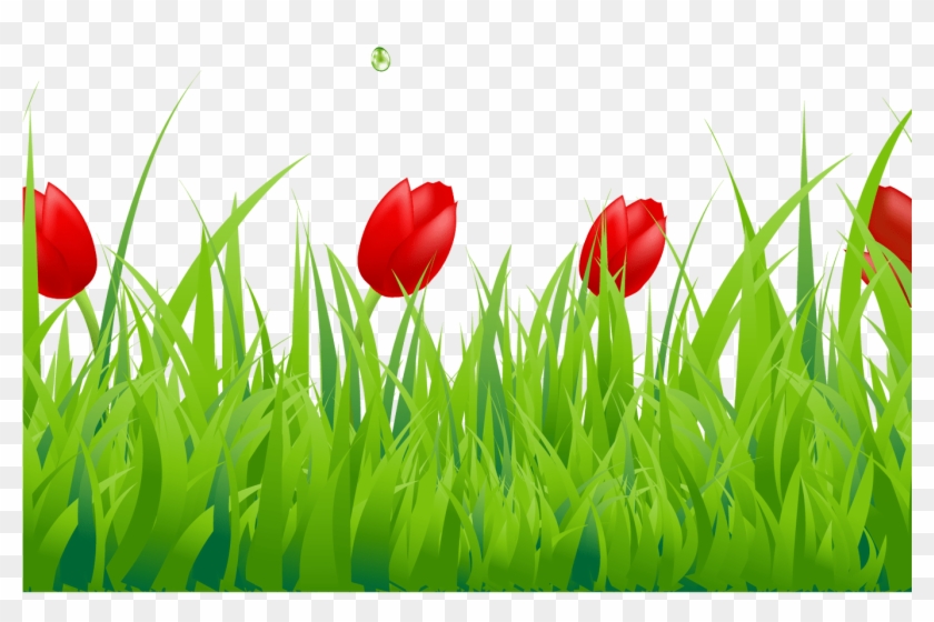 Tulip Flower Free Png Transparent Images Free Download - Border Grass Fence Clip Art #1751843