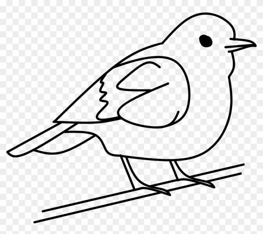 Bird Tree Out Line Free Vector Graphic On Pixabay With - Bird Black And White Clip Art - Png Download #1752709