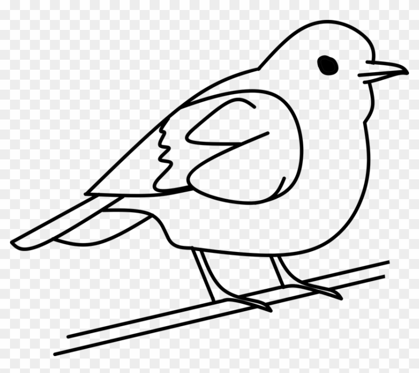 Bird Tree Out Line Free Vector Graphic On Pixabay With - Bird Black And White Clip Art - Png Download