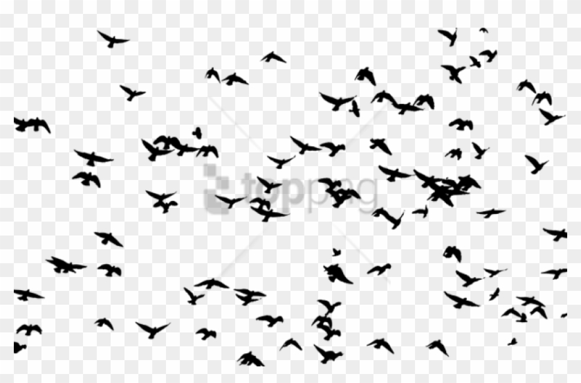 Free Png Download Flock Of Birds Silhouette Png Images - Flock Of Birds Png Clipart