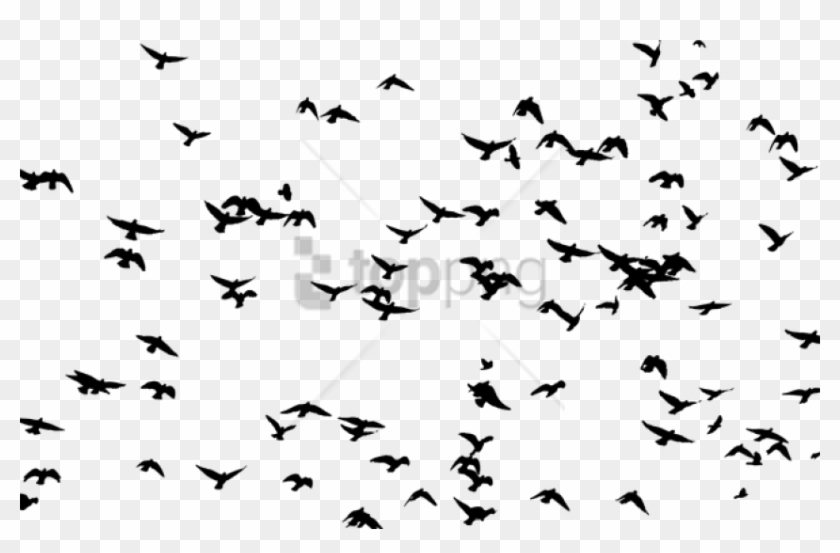 Free Png Download Flock Of Birds Silhouette Png Images - Flock Of Birds Png Clipart #1753685
