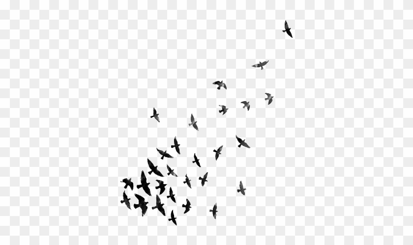 Flying Birds Png - Flock Clipart