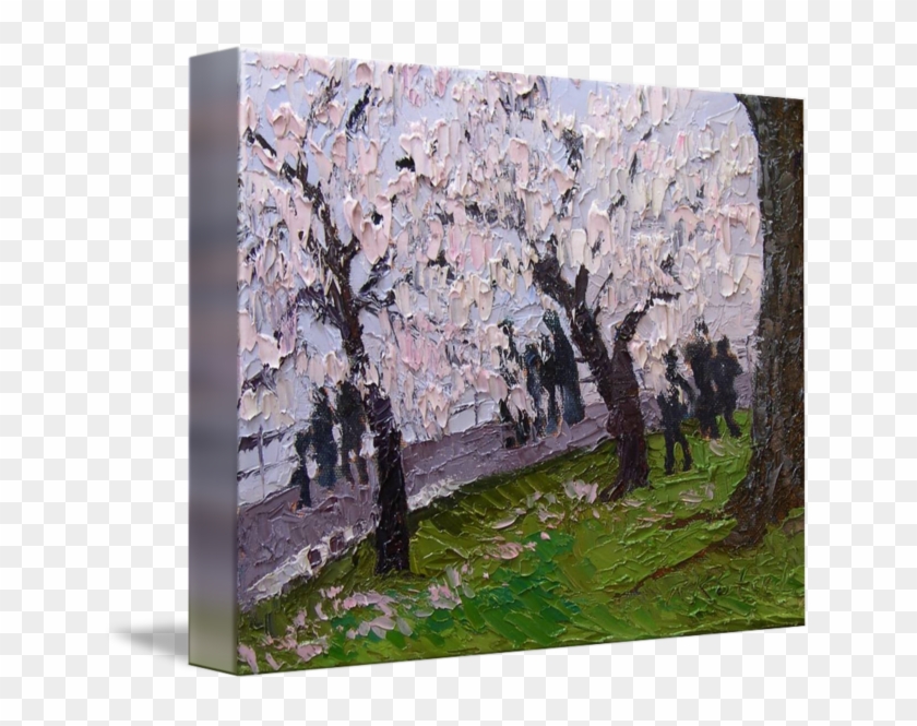 Landscape Drawing Cherry Blossom - Canoe Birch Clipart