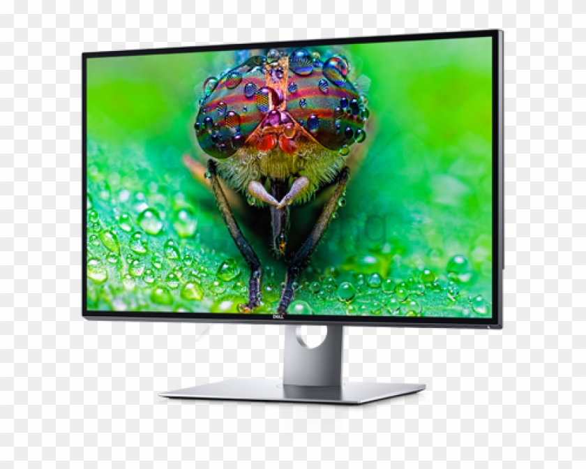 Free Png Dell Computer Monitor Png Png Image With Transparent - Dell 8k Clipart #1755308