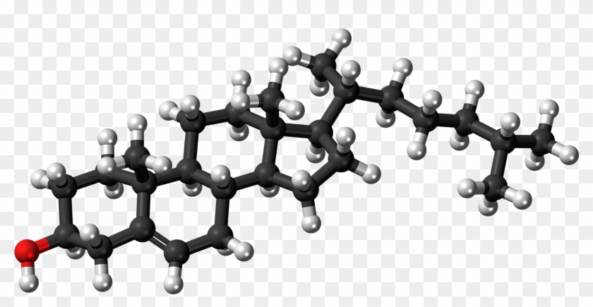 Cholesterol Molecule Ball - Cholesterol Molecular Structure Clipart #1755829