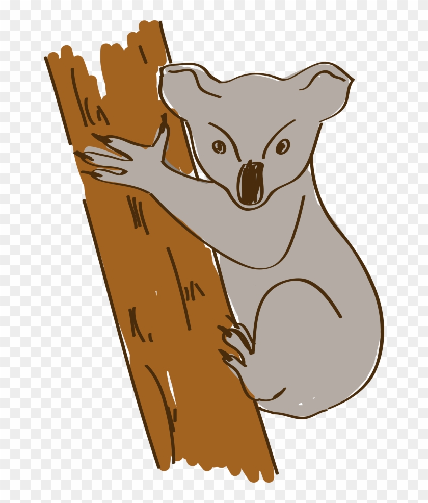 668 X 906 4 - Koala Clipart